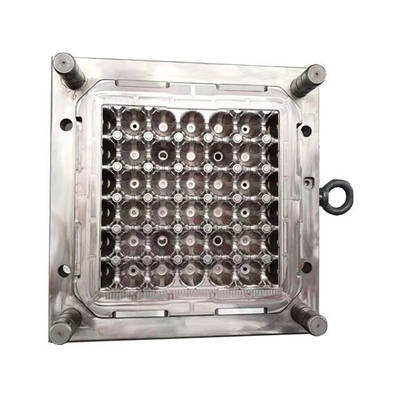 Various Size Egg Holder Plastic Egg Tray Injection Mould